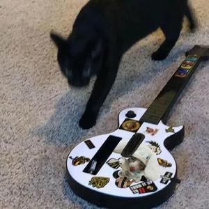 制服丝袜第十页
